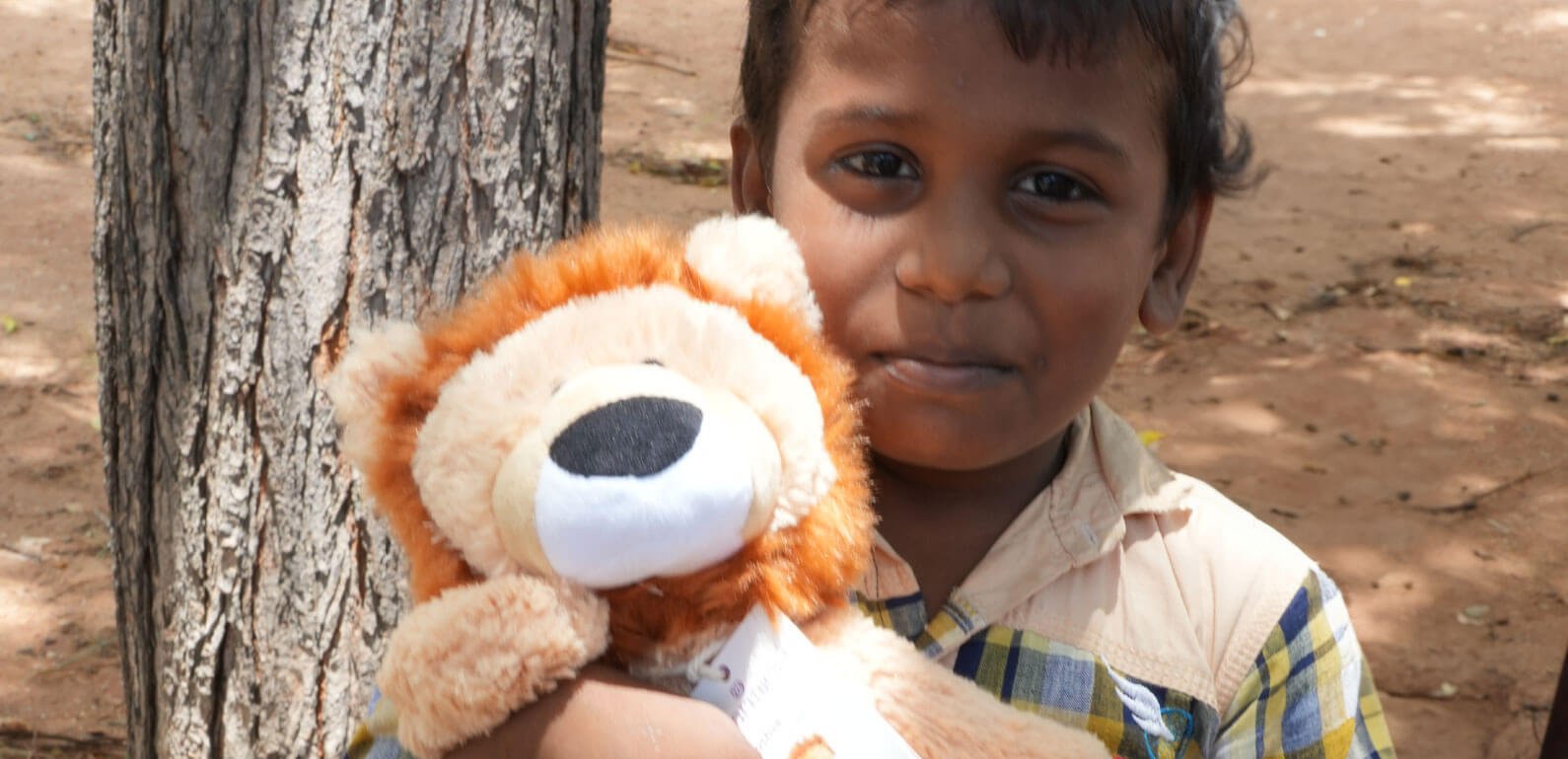 Sri Lankan boy with a lion teddy bear